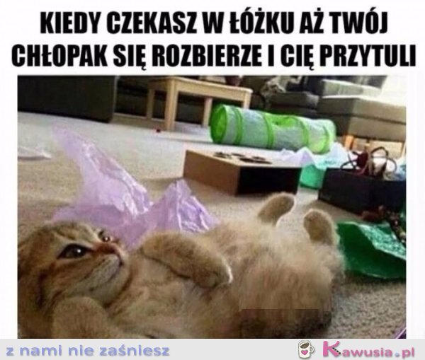 Kotek chodź do łóżeczka