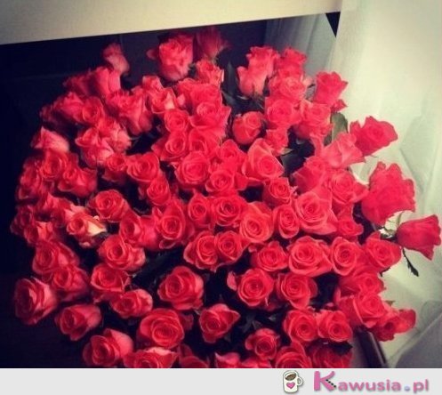 Piękne r&oacute;że