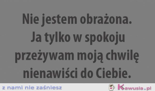 Nie jestem obrażona...