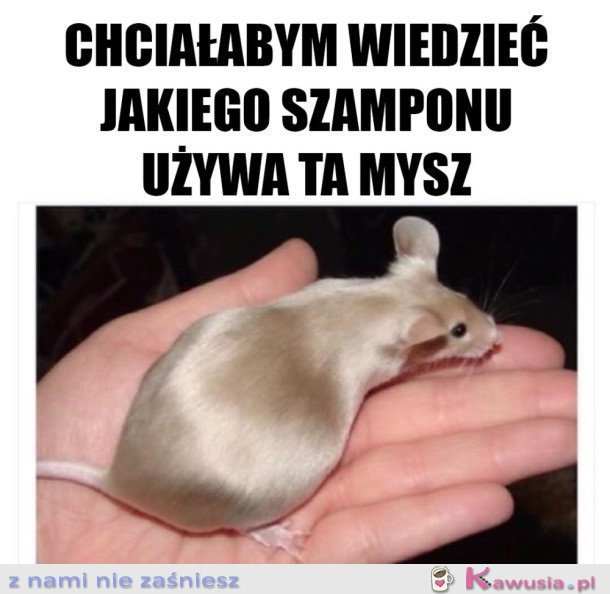 BARDZO PRAGNĘ TEJ INFORMACJI