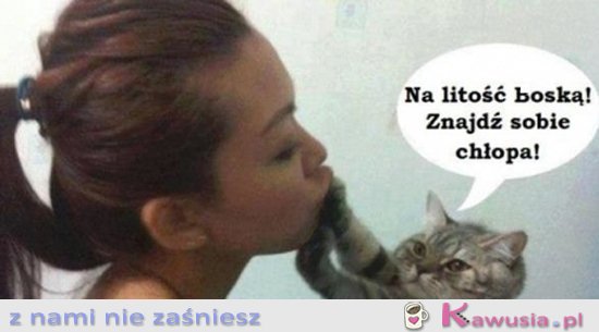 Kotek radzi