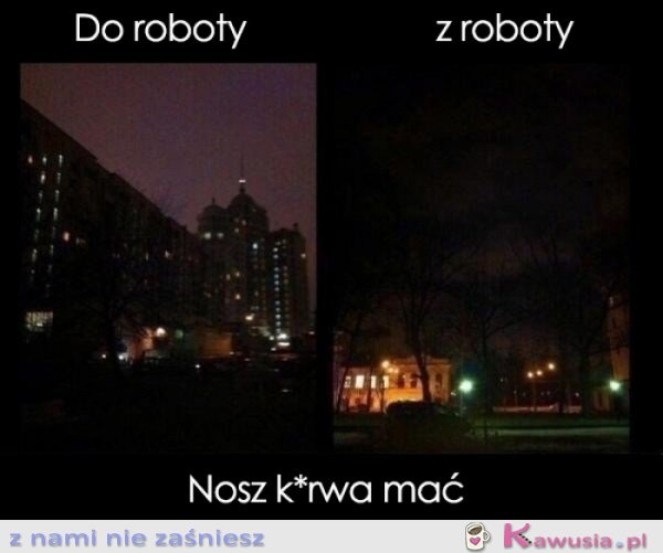 Z i do roboty...