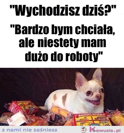 Mega ważne plany mam...