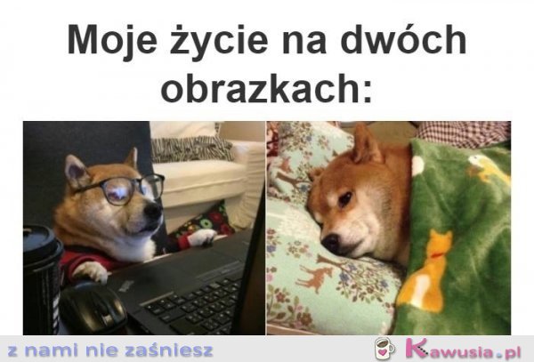 Całe moje życie na 2 obrazkach