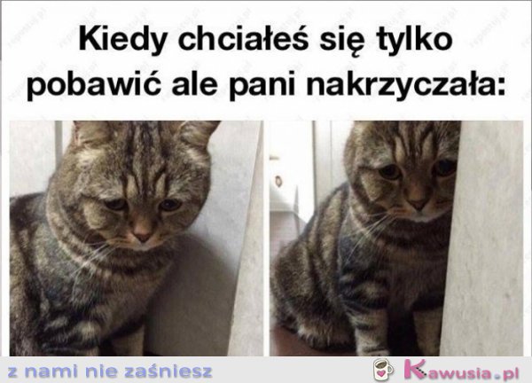 Chciałem się tylko przytulić