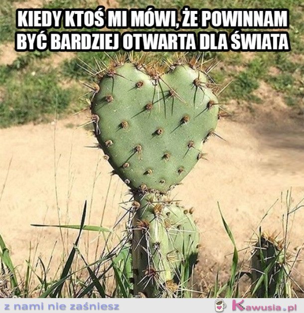 JESTEM JAK KAKTUS