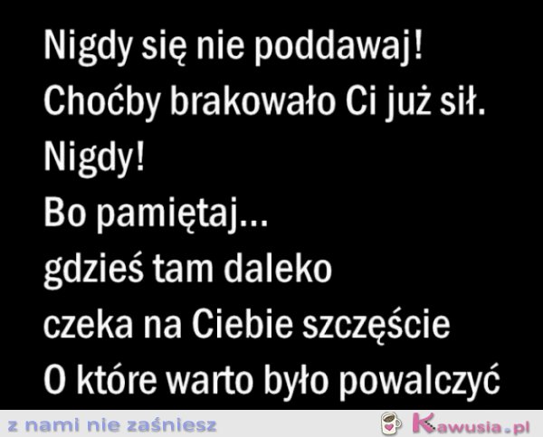 Nigdy się nie poddawaj