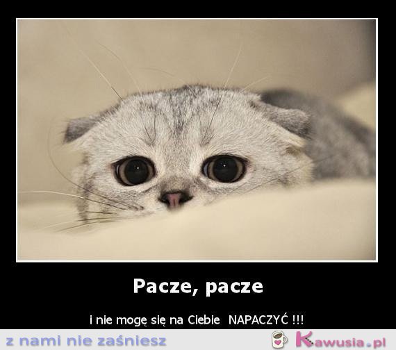 Pacze, pacze