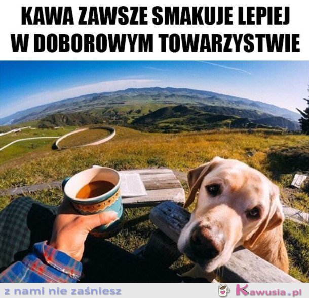 DOBOROWE TOWARZYSTWO