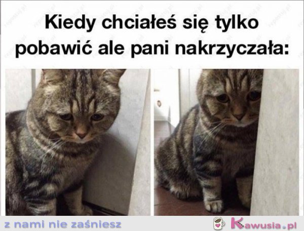 Chciałem się tylko przytulić