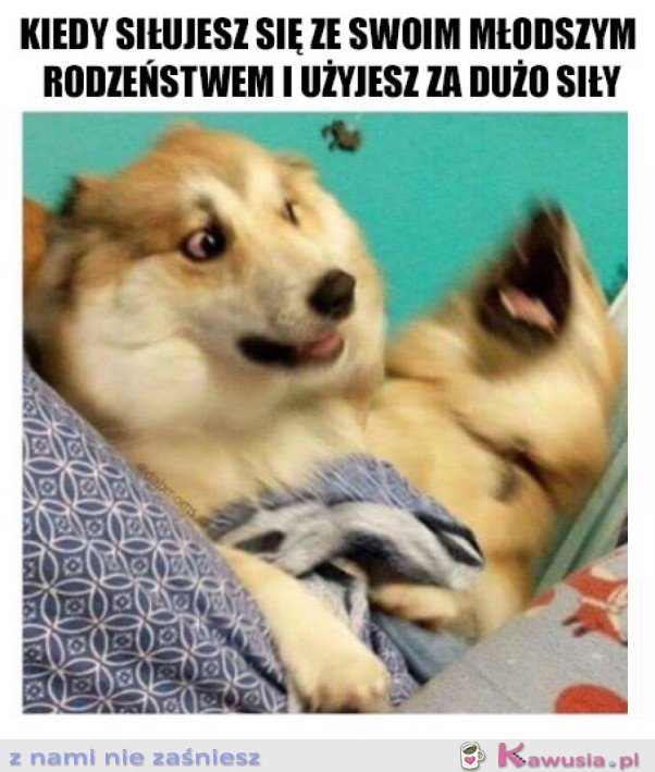 TYLKO NIE MÓW MAMIE!