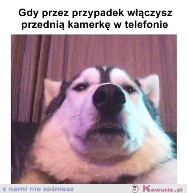 KIEDY PRZEZ PRZYPADEK...