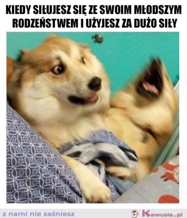 TYLKO NIE MÓW MAMIE!