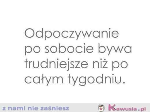 Odpoczywanie po sobocie...