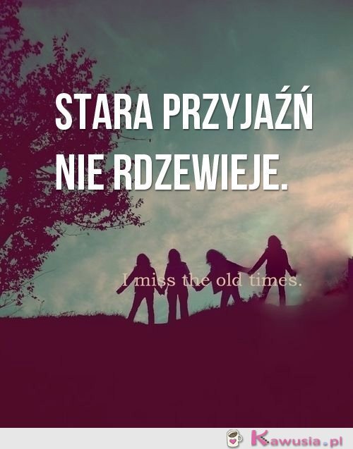 Stara przyjaźń