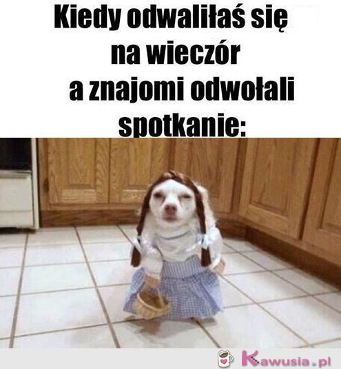 Świetnie