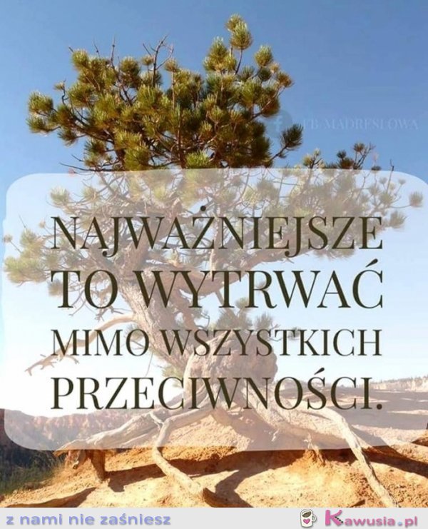 Najważniejsze to wytrwać