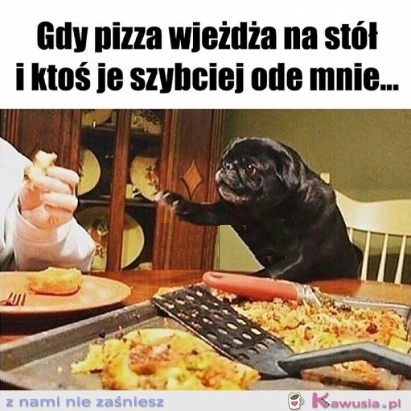 Człowieku uspokój się...