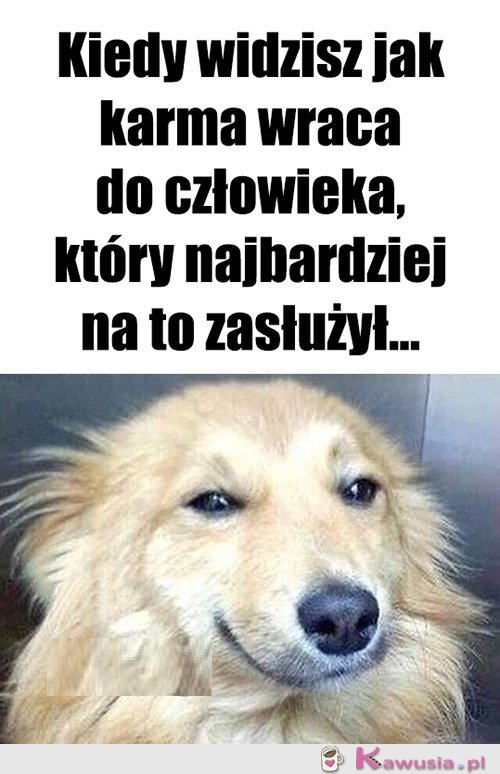 Dobrze Ci tak...