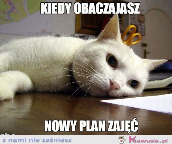 NOWY PLAN ZAJĘĆ