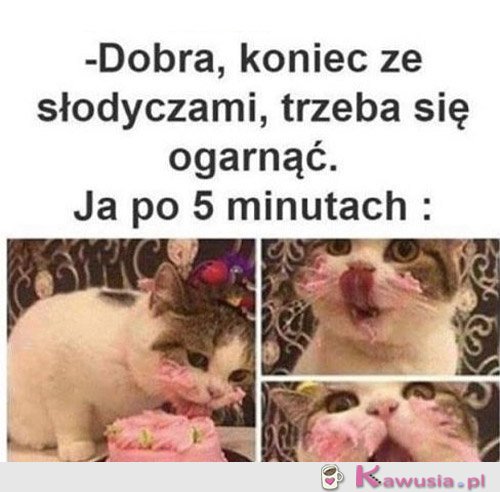 Od jutra zaczynam