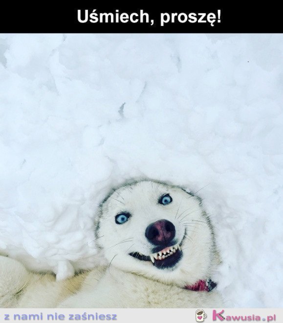 NAJLEPSZE SELFIE EVER!