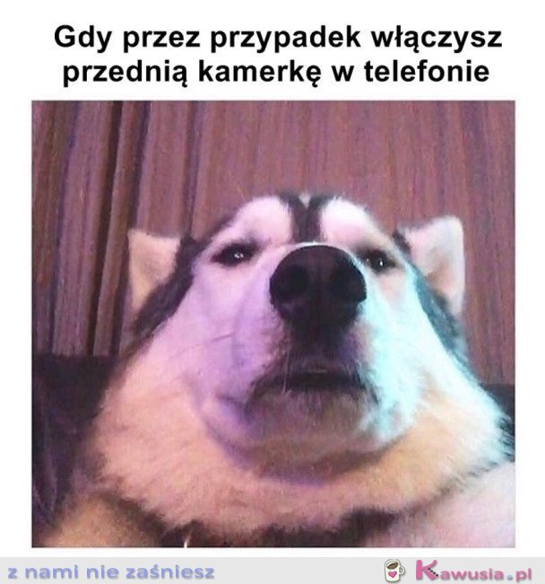 KIEDY PRZEZ PRZYPADEK...