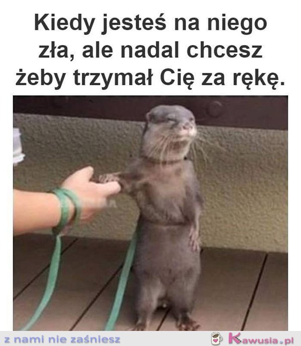 Kiedy jesteś na niego zła, ale...