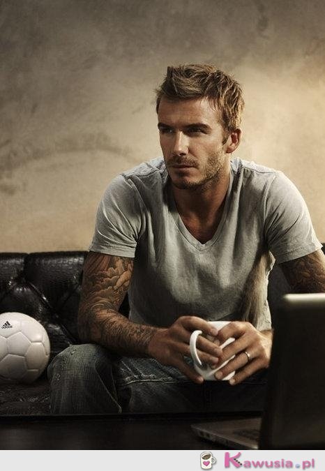 David