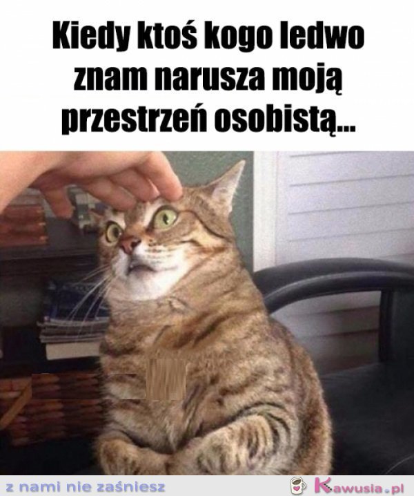 Yyyyyyyyyyyyyy