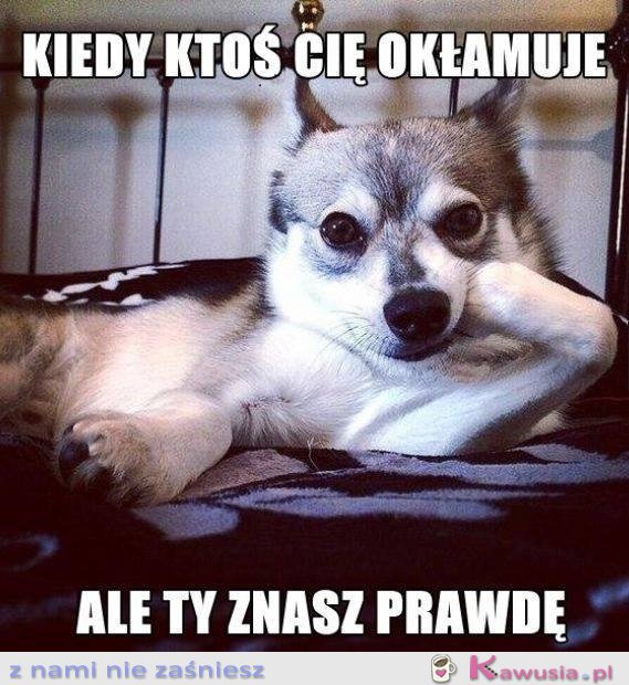 Kiedy ktoś Cię okłamuje...