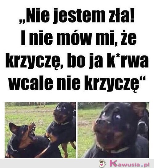 Jestem oazą spokoju