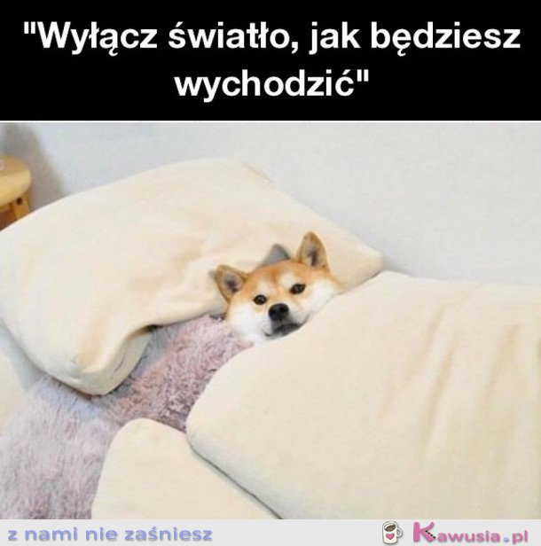 Wyłącz światło jak idziesz