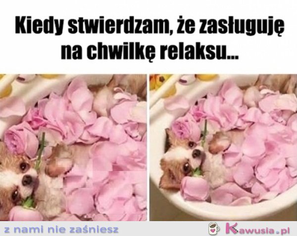 Się należy, a co...