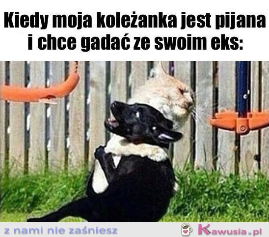 Ratuj się kto może...