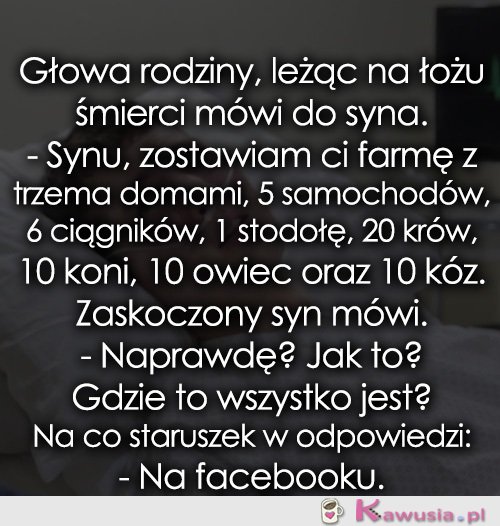 Zostawiam Ci farmę...