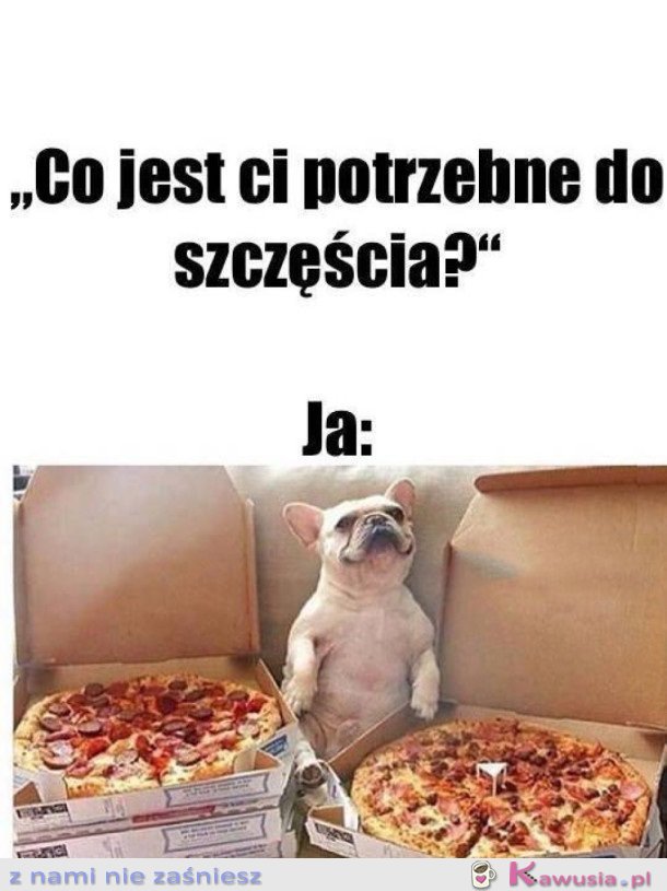 TAK WYGLĄDA SZCZĘŚCIE