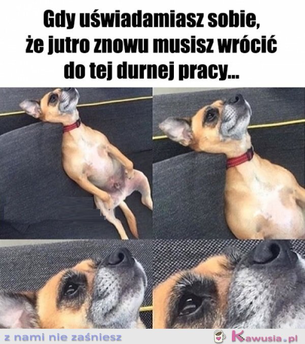 Świetnie...