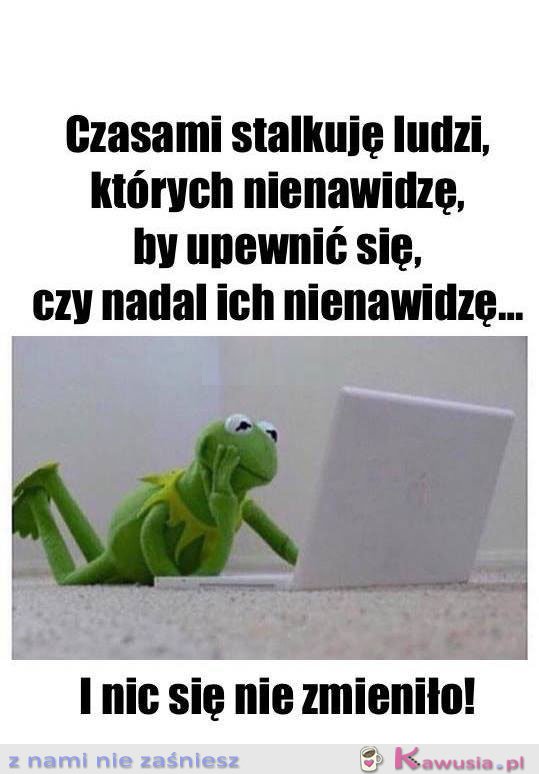 I nic się nie zmieniło