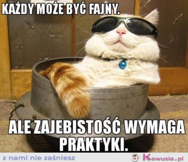 Każdy może być fajny