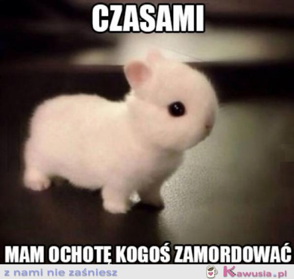 Tak troszeczkę...