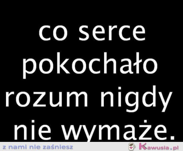 Co serce pokochało