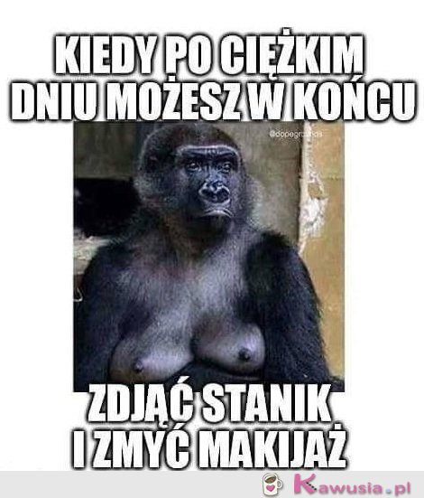 Upragniona wolność
