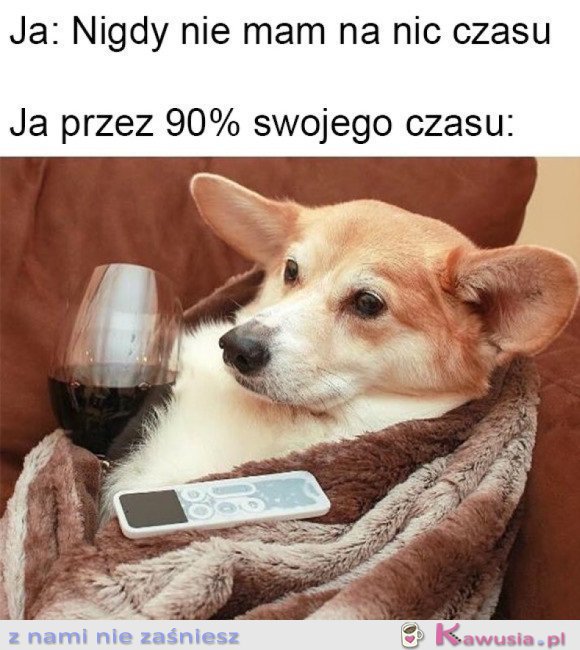 MOJE ŻYCIE TO JEDNA WIELKA PORAŻKA