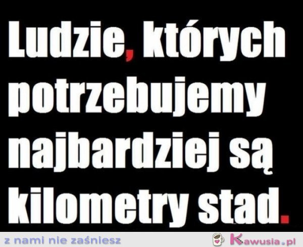 Ludzie...