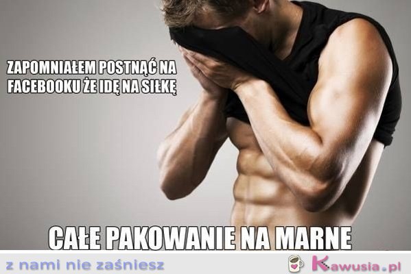 Logika facetów