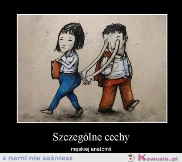 Szczególne cechy męskiej anatomii