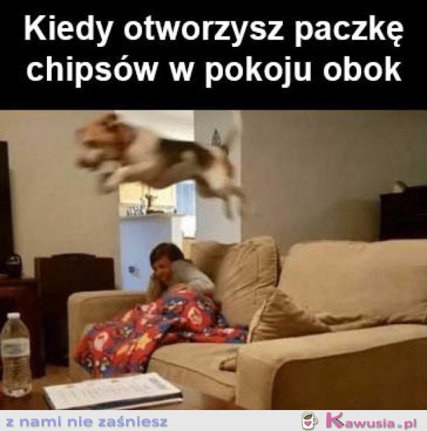 CZY KTOŚ POWIEDZIAŁ CHIPSY