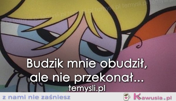 Budzik mnie obudził, ale...
