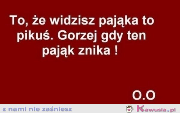 To, że widzisz pająka..